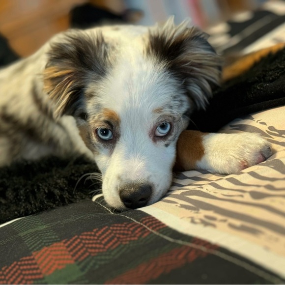 Meet your Posher, Mandi - Picture 2 of 16